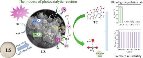 One-step hydrothermal synthesis of lithium slag-based zeolite for the ultrafast photocatalytic degradation of tetracycline