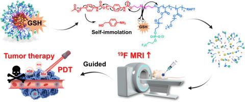 Self-immolative fluorinated nanotheranostics amplifying 19F MRI signals for tumor-specific imaging and photodynamic therapy