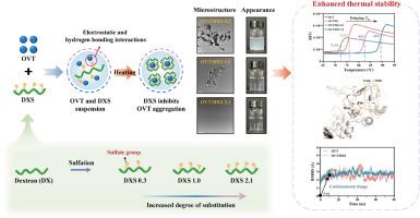 Sulfation-dependent mechanism of dextran sulfate enhancing ovotransferrin thermal stability: Structural and molecular dynamics insights
