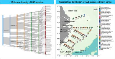 Harmful algal bloom species identified in the East China Sea through metabarcoding analysis of large-scale sampling expedition