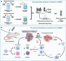 Bilayer nanofiber-coated stent integrating internal radiation and spatiotemporal IL-12 release promotes antitumor immune response