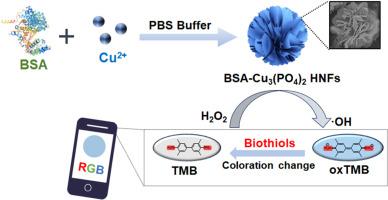 Preparation of copper-based protein-inorganic hybrid nanoflowers with peroxidase-like activity for colorimetric detection of biothiols