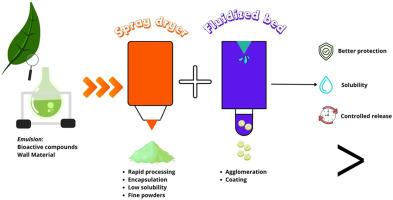 Synergistic use of spray drying and fluidized bed in the microencapsulation of food ingredients