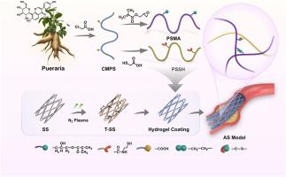 Plasma-Reinforced Dual-Crosslinked Pueraria Hydrogel Coating for Synergistic Atherosclerosis Intervention