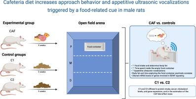Cafeteria diet increases approach behavior and appetitive ultrasonic vocalizations triggered by a food-related cue in male rats