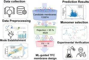 Accelerating inverse design of thin-film composite polyamide membranes for water purification via fragment-based machine learning