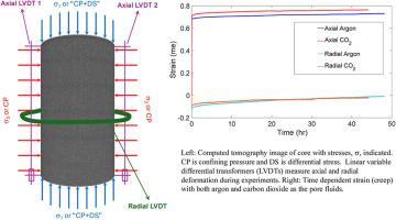 Elastic and creep behavior of fractured shale caprocks in the presence of argon and CO2