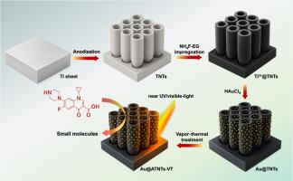 In-situ Ti3+-mediated loading of Au nanoparticles on TiO2 nanotube arrays for enhanced near UV/visible-light photocatalytic degradation of ciprofloxacin