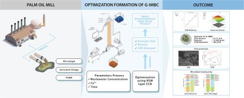 Development of granular indigenous microalgal-bacterial consortium (G-IMBC) technology for palm oil mill effluent treatment: Optimization, characterization, and microbial community dynamics