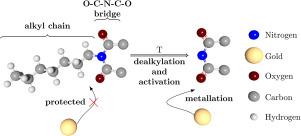 Metal–organic coordination with thermally controlled protection