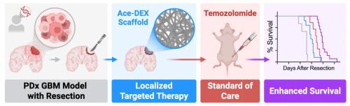 Biodegradable nanofibrous scaffolds enhance standard of care for glioblastoma via localized targeted therapy