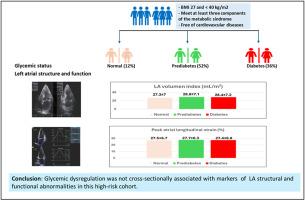 Glycemic status and left atrial structure and function in adults with metabolic syndrome and overweight-obesity