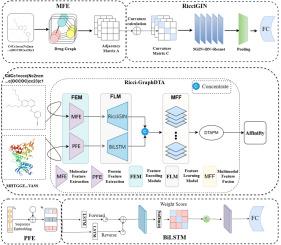 Ricci-GraphDTA: A graph neural network integrating discrete Ricci curvature for drug–target affinity prediction