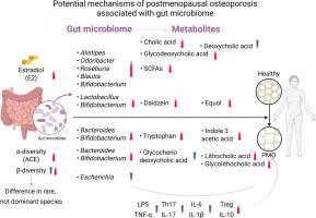 Clinical evidence linking osteoporosis and the gut microbiome in postmenopausal females: A systematic review