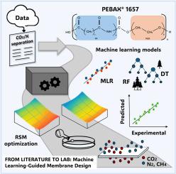 Membrane preparation assisted by integration of machine learning and response surface methodology for CO2 separation