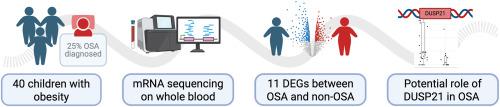 DUSP21 expression is associated with obstructive sleep apnea in pediatric patients with obesity