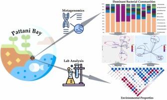 16S rRNA gene profiling reveals distinct prokaryotic communities in sediment and seawater habitats of Pattani Bay, Thailand