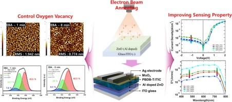 Improving the performance of organic photodetectors by low-temperature electron beam annealing