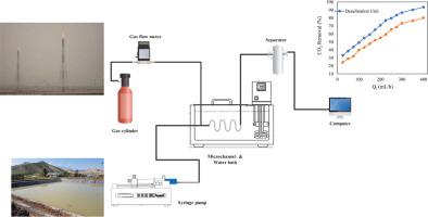 Carbon dioxide removal from flue gas of oil production companies using wastewater in microchannel