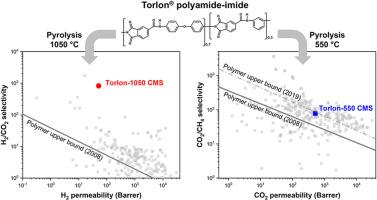 Torlon® polyamide-imide: A versatile precursor for carbon molecular sieve gas separation membranes