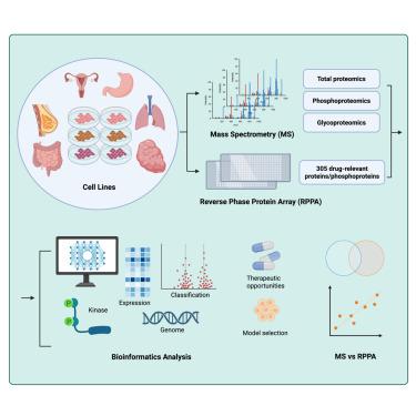 Integrated multi-dimensional comparison of proteomic profiles across 54 cancer cell lines