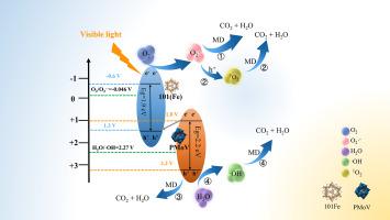 Performance evaluation and mechanistic insights into melanoidin adsorption and photodegradation by PMoV-X@101(Fe)