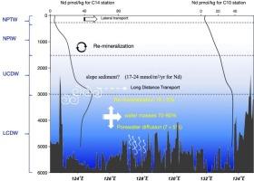 Quantifying the sources of REE in the deep Philippine Sea: Insights from numerical modeling and field observations