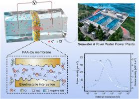 High-performance ionic covalently modified polyamide acid membrane for osmotic energy conversion