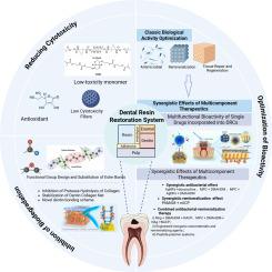 Strategies for enhancing biocompatibility, bioactivity, and resistance to biodegradation in dental resin composites: A narrative review