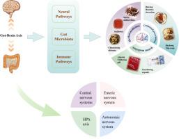 Pathogenic mechanisms of cerebral ischemia and potential gut-brain axis-oriented therapeutic strategies