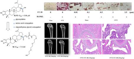 Synthesis and biological evaluation of C-28-modified pyrazole-fused betulinic acid derivatives as potent antiosteoporosis agents