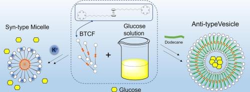 Synthesis and characterization of structurally variable bola type crown ether-ferrocene surfactant vesicles