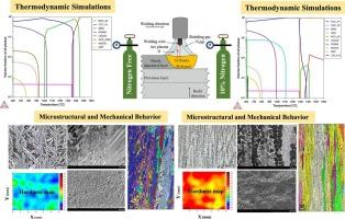 A novel in-situ gas-phase alloying approach in wire arc additive manufacturing for controlling solidification mode and designing hybrid stainless steels