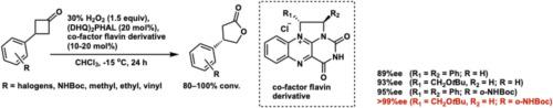 Structure–selectivity correlation in asymmetric baeyer–villiger oxidation of 3-arylcyclobutanones by a flavinium ion-pair catalyst