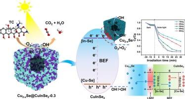 Cu2-xSe@CuInSe2 hollow cage catalyst for efficient visible light degradation of antibiotics based on electric field co-regulation of charge directional transport