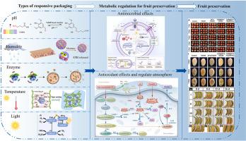 Responsive packaging that adapted to and regulated physiological metabolic of fruits and vegetables: Mechanism, application and prospects