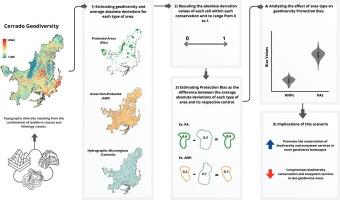 Geodiversity conservation in the Cerrado: Representation of geophysical scenarios in the biome's protected areas network