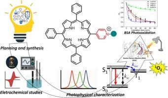 Insights into bovine serum albumin (BSA) photooxidation mediated by mono-cationic porphyrins with Pd(II), Pt(II), and Ru(II) bipyridyl complexes