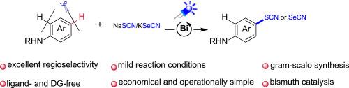 Photoinduced regioselective CH thiocyanation and selenocyanation of arylamines