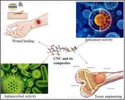 From waste to wealth: Advancing sustainability with state-of-the-art progress of cellulose nanocrystals and its composites for biomedical applications: A review