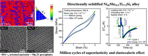 Stable long-term elastocaloric effect in Si doped Ni-Mn-Ti polycrystalline alloys with a textured dual-phase microstructure