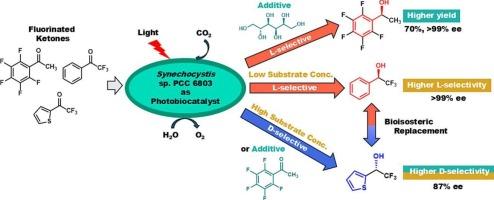 Effect of additives on the asymmetric reduction of fluorinated ketones using cyanobacterium Synechocystis sp. PCC 6803