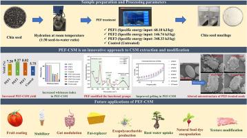Non-thermal extraction and modification of chia seed mucilage using Pulsed electric field