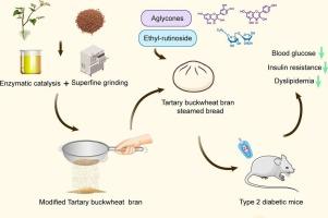 Evaluation of ethyl-rutinoside and aglycone-fortified Tartary buckwheat steamed bread in ameliorating hyperglycemia, insulin resistance, and dyslipidemia in type 2 diabetic mice