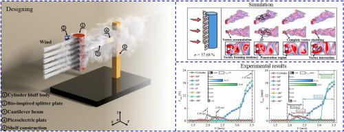 Enhancing energy harvesting performance by installing bio-inspired splitter plates