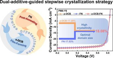 Temporally stepwise crystallization via dual-additive orchestration: resolving the crystallinity-domain size paradox for high-efficiency organic photovoltaics