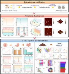 Novel insights into selenium-biofortified P. eryngii polysaccharides: Unveiling selenium release patterns and gut microbiota modulation through in vitro models