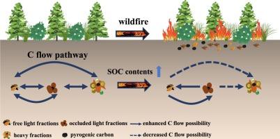 Effect of wildfires on soil organic carbon content and carbon flow pathways: The evidence of BPCAs molecular markers and 13C natural abundance