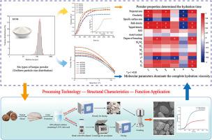 Investigating critical determinants governing hydration characteristics of konjac glucomannan