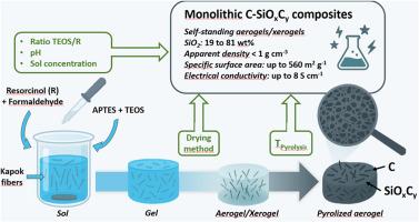 Tunable synthesis of C-SiOxCy monoliths